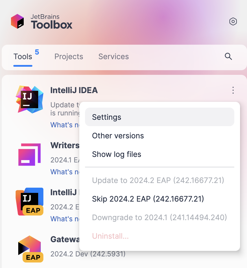 Opening IDE instance settings in Toolbox App