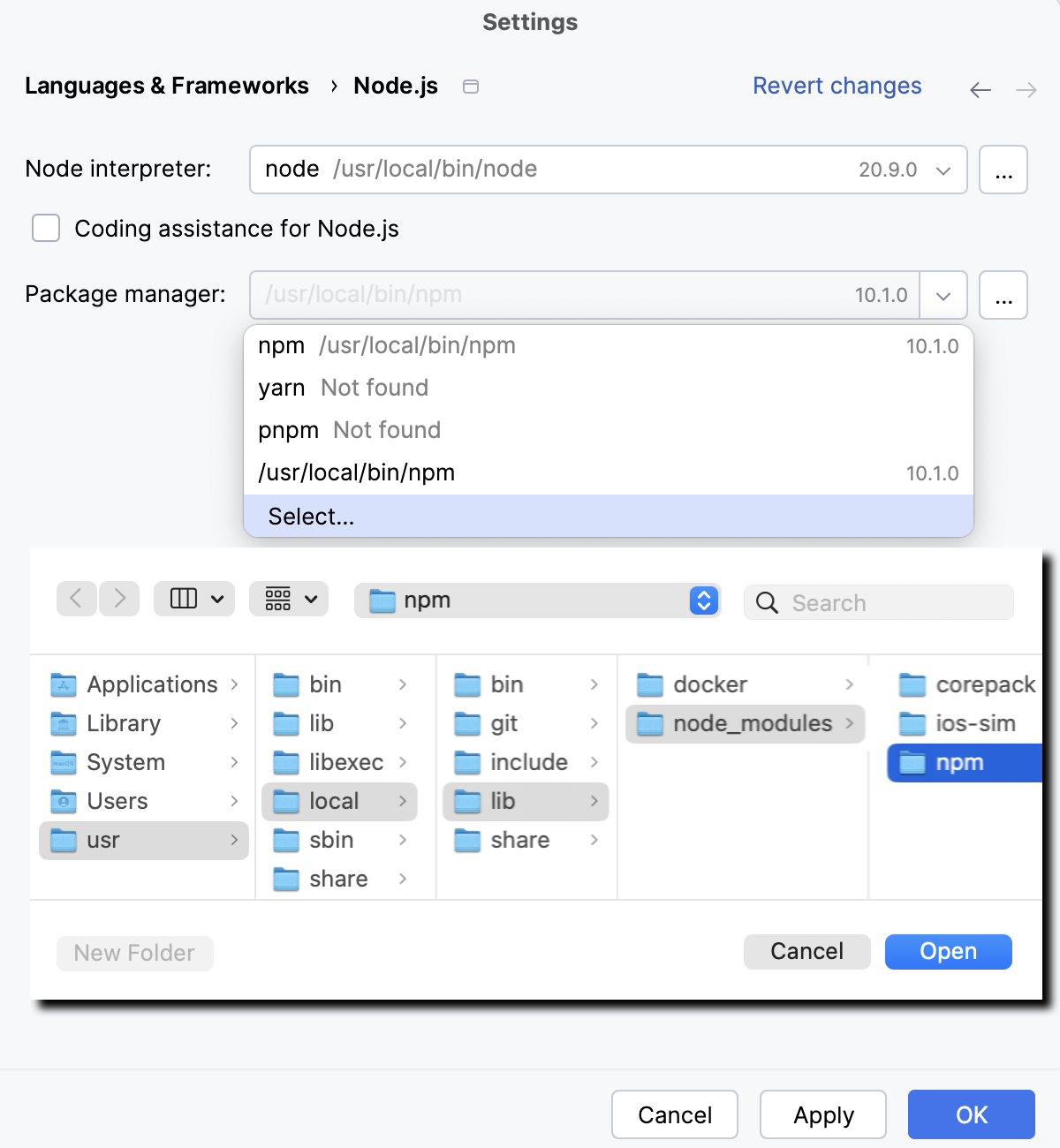 Select project package manager: choose a custom installation