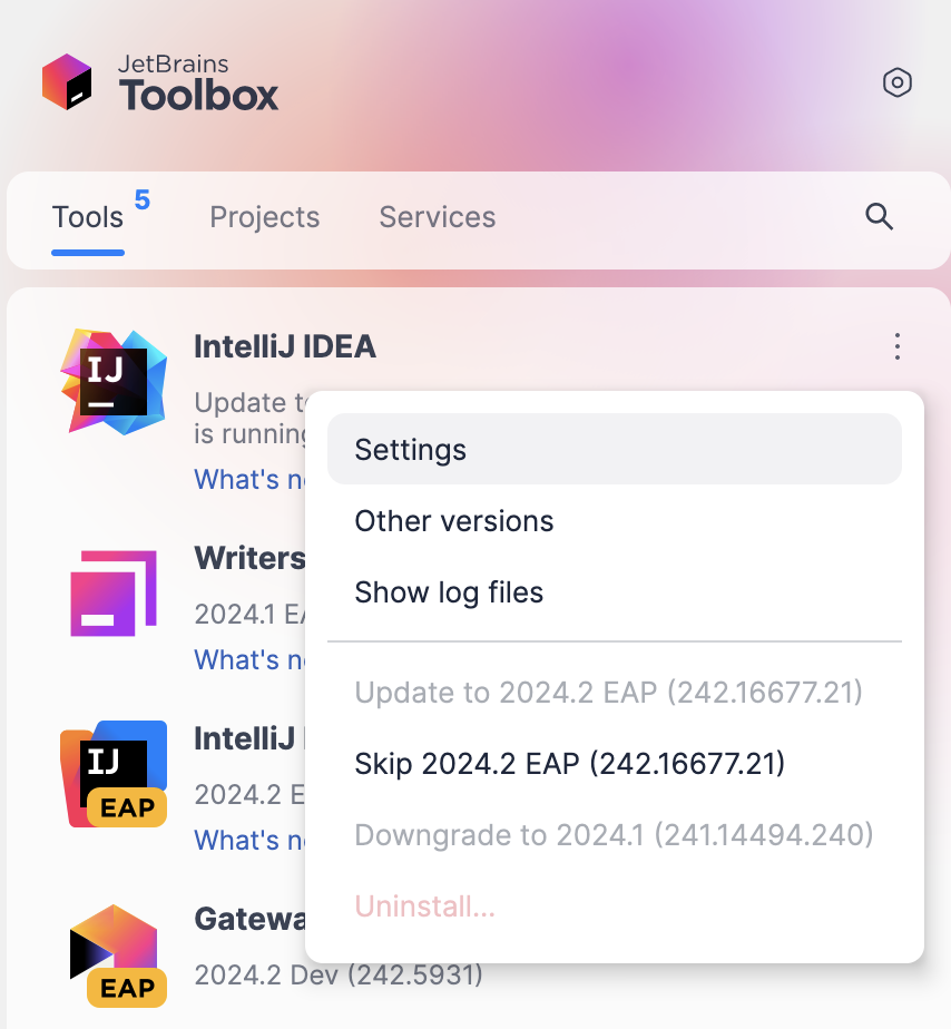 Opening IDE instance settings in the Toolbox App