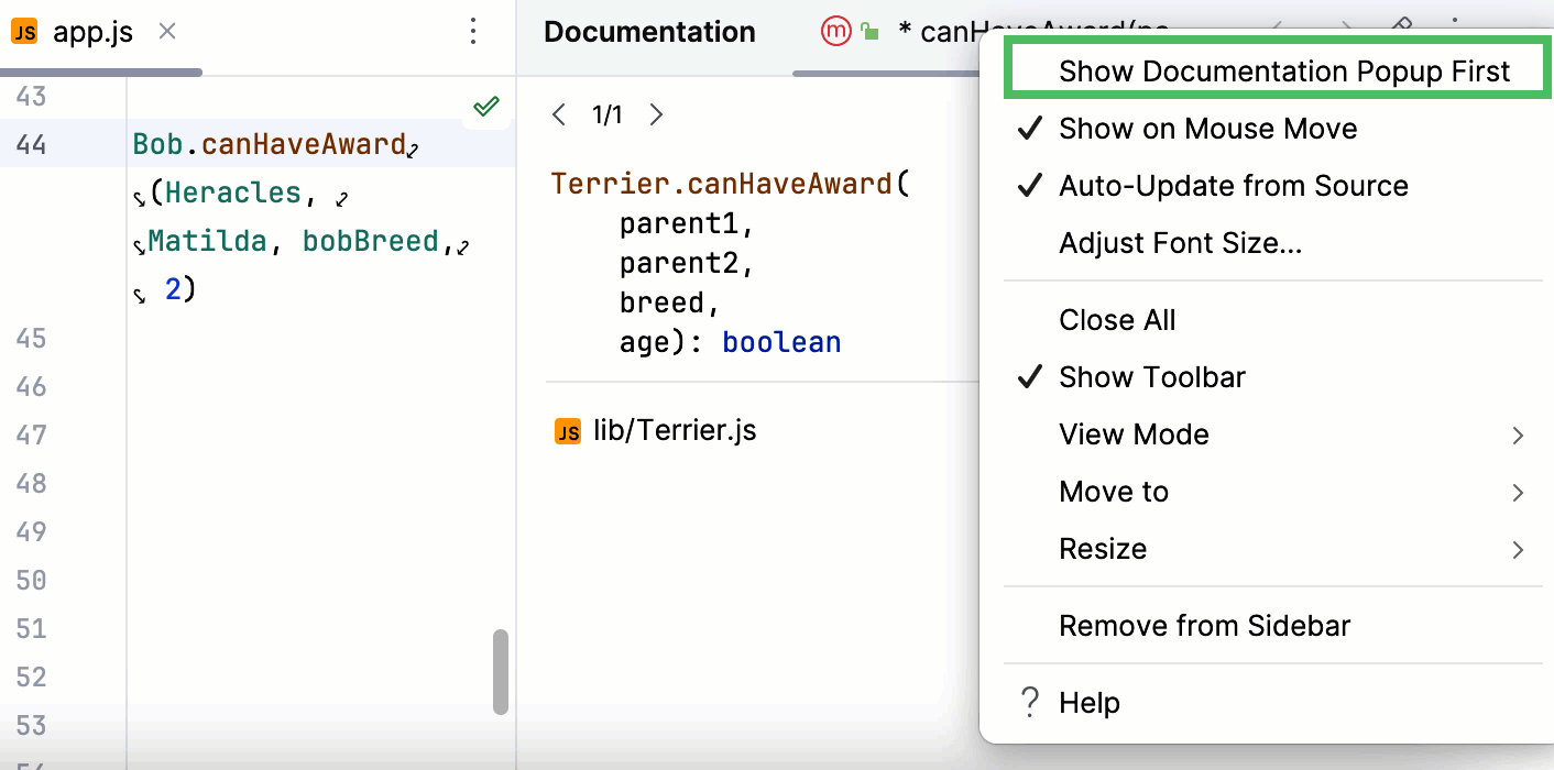 https://resources.jetbrains.com/help/img/rider/2025.1/ws_js_quick_doc_tool_window_706.png