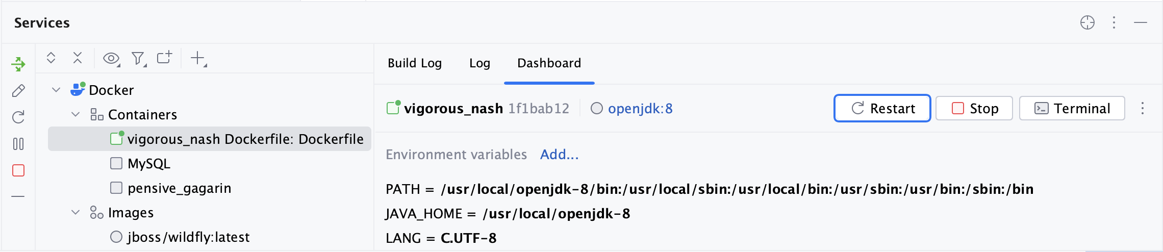 服务工具窗口中选定容器的Dashboard标签