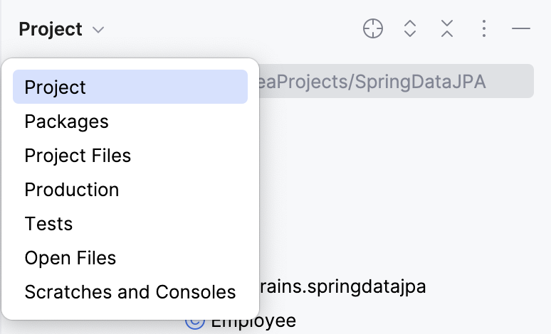 启用 Group Tabs 选项的 Project 工具窗口