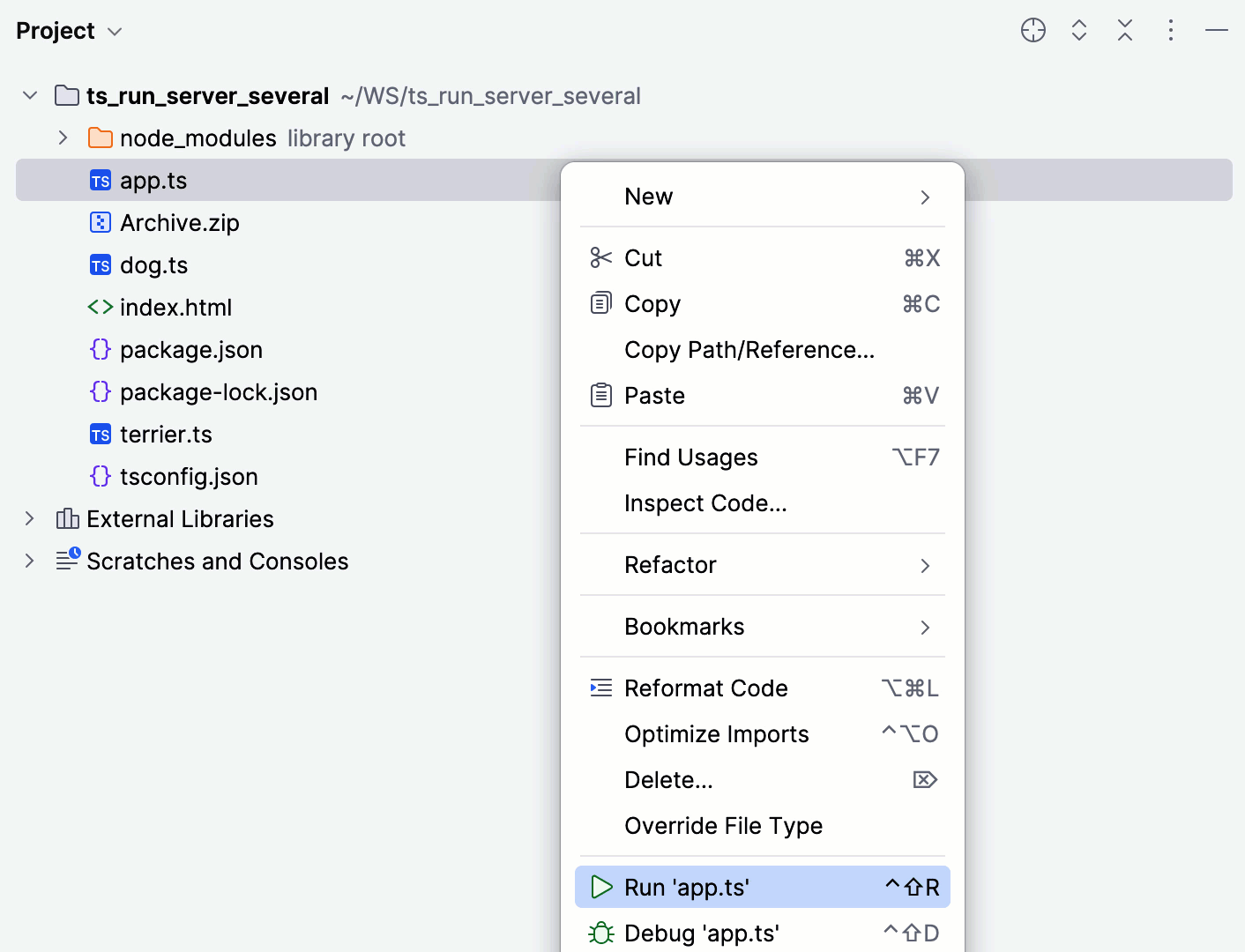 从项目工具窗口运行服务器端 TypeScript