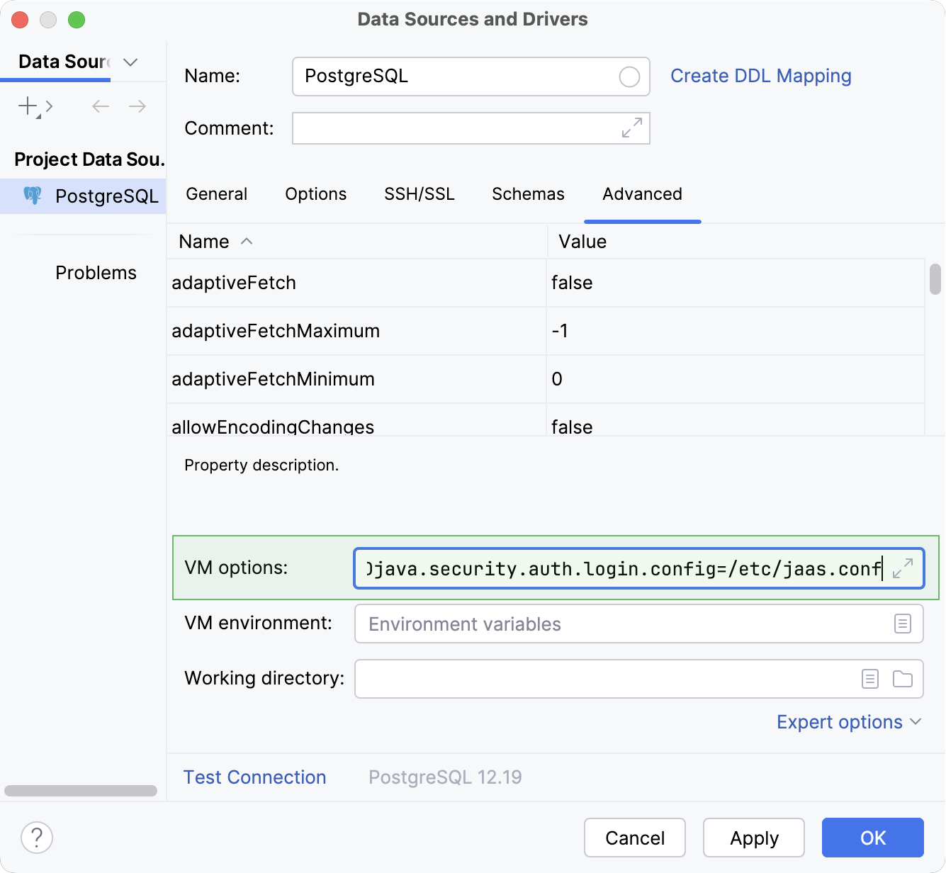 在 PostgreSQL 数据源属性中设置 VM 选项