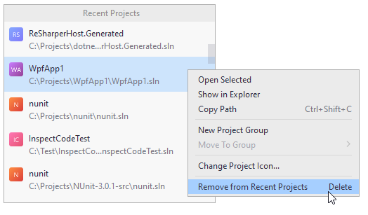 Rider. 从最近历史记录中移除解决方案