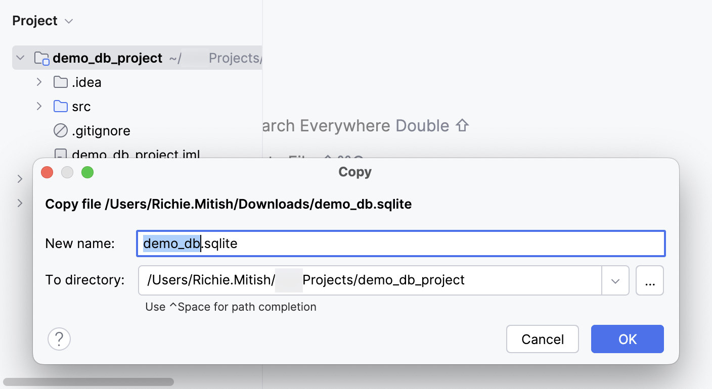 Paste the database file to the Project tool window