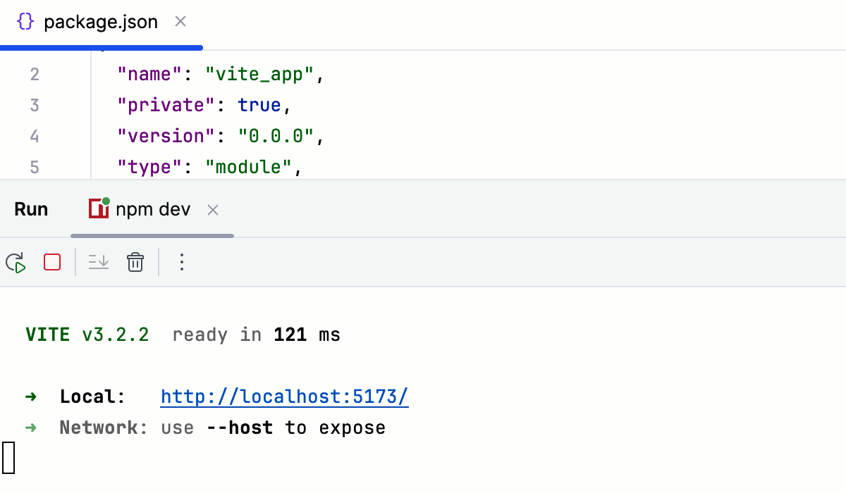 Running Vite app: the Development server is ready Running Vite app: the Development server is ready