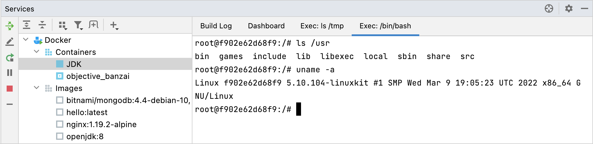 The Exec tab with /bin/bash running The Exec tab with /bin/bash running