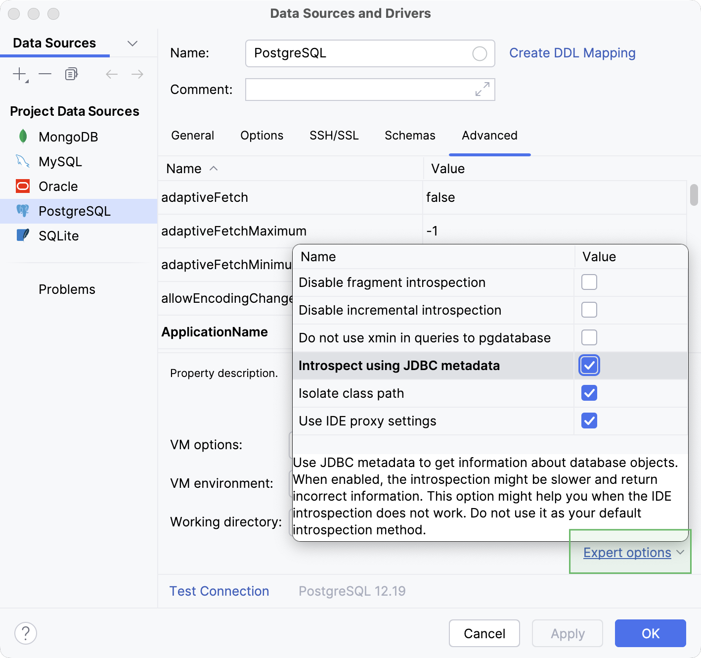 The Introspect using JDBC metadata option in the Expert options menu of the Data Source and Drivers dialog Advenced tab