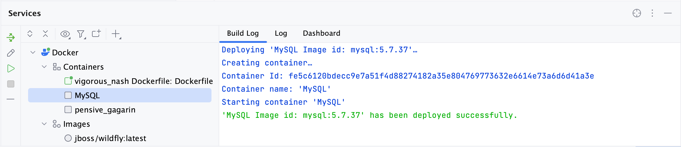 The Build Log tab of a container selected in the Services tool window The Build Log tab of a container selected in the Services tool window