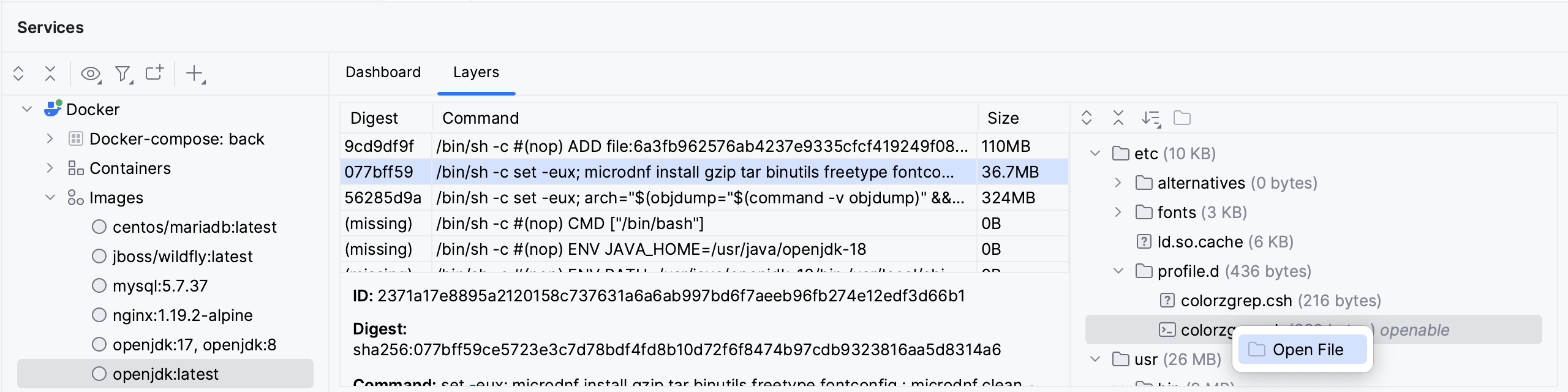 Open a file from a Docker layer Open a file from a Docker layer