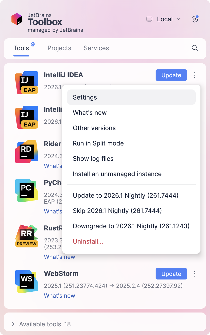 Opening IDE instance settings in the Toolbox App
