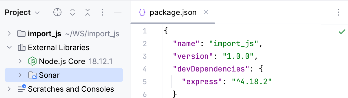 A custom library is shown under the external Libraries node A custom library is shown under the external Libraries node