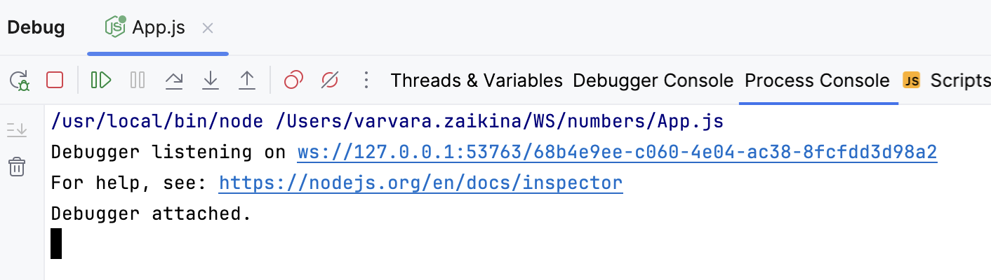 Node.js debugging session: Process Console Node.js debugging session: Process Console