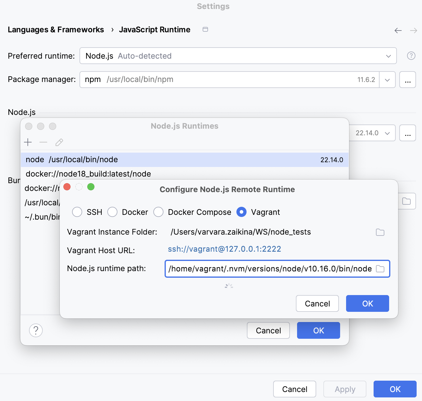 Configure remote Node.js runtime in Vagrant environment: specify instance folder and location of Node executable Configure remote Node.js runtime in Vagrant environment: specify instance folder and location of Node executable