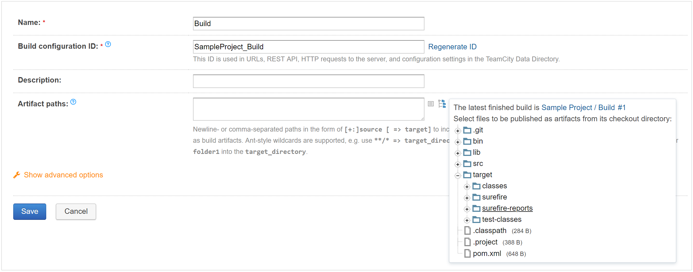 Artifact paths Artifact paths