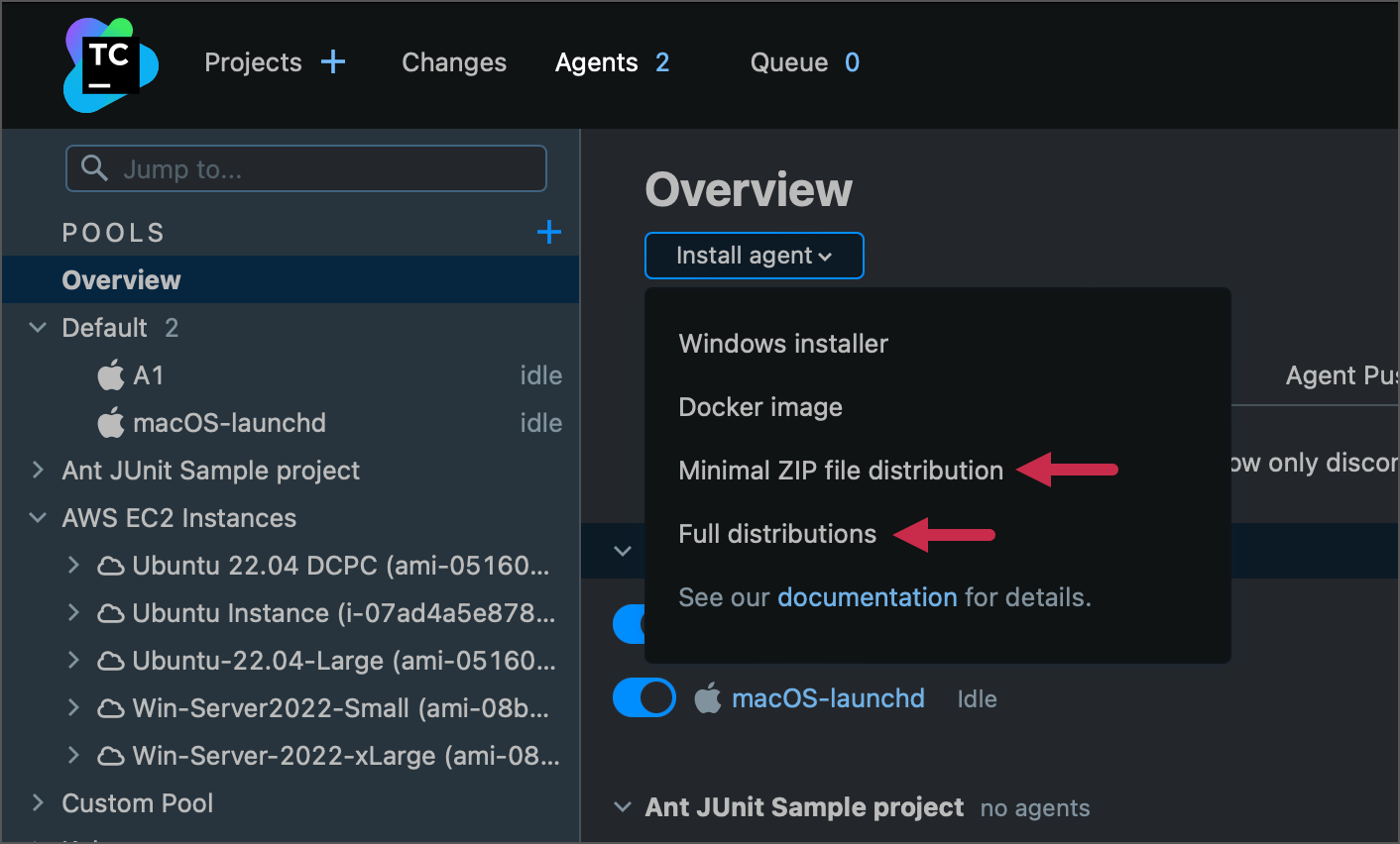 Agent ZIP distribution download options