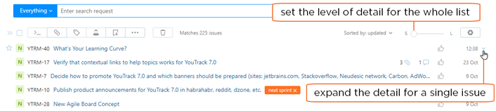 Setting the level of detail in the Issues list.