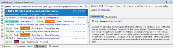 Youtrack issues tool window