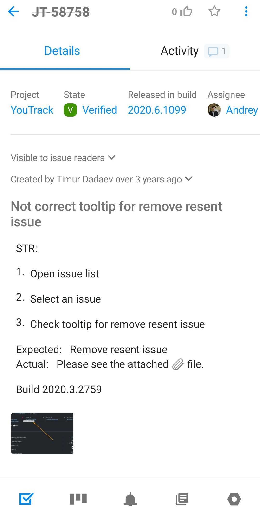 Details tab for single issue in YouTrack Mobile.